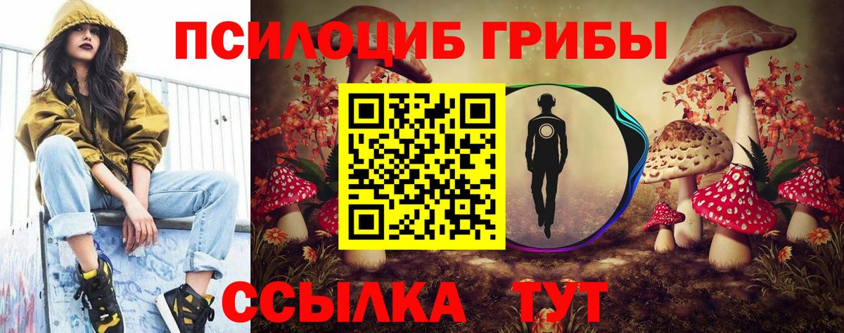 APVP Волжск