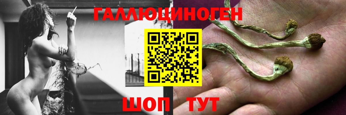 Галлюциногенные грибы прущие грибы  Вход с VPN  Волжск 